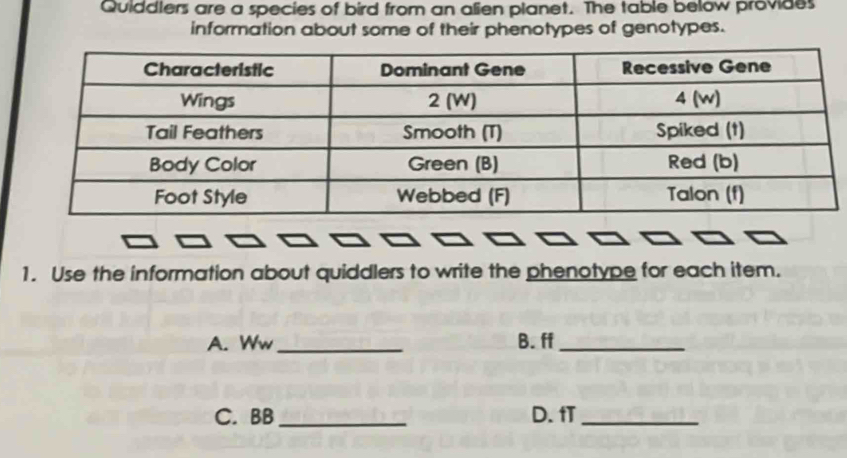 Quiddlers are a species of bird from an alien planet. The table below provides 
information about some of their phenotypes of genotypes. 
1. Use the information about quiddlers to write the phenotype for each item. 
A. Ww_ B. ff_ 
C. BB_ D. fT_