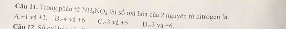 Trong phân tử NH_4NO_3 thì số oxi hóa của 2 nguyên tử nitrogen là.
A +1va+1. B. -4va+6. C. -3va+5. D. -3va+6. 
Câu 12. Số oxi