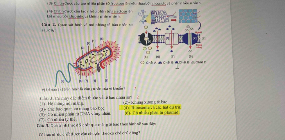 ( 3)- Chitin được cấu tạo nhiều phân tử fructose lên kết nhau bởi glicosidic và phân nhiều nhánh.
(4)- Chitin được cấu tạo nhiều phân tử galactose lên
kết nhau bởi glicosidicvà không phân nhánh.
Câu 2. Quan sát hình vẽ mô phỏng tế bào nhân so
sau đây :
Vị trí nào [? ] trên hìn h là vùngnhân của vikhuẩn? 7
Câu 3. Có mấy đặc điểm thuộc về tế bào nhân sơ? 2
(1)- Hệ thống nội màng. (2)- Khung xương tế bào.
(3)- Các bào quan có màng bao bọc. (4)- Ribosome và các hạt dự trữ.
(5)- Có nhiều phân tử DNA vùng nhân. (6)- Có nhiều phân tử plasmid.
(7)- Có nhiều ty thể.
Câu 4. Quá trình trao đồi chất qua màng tế bào theo hình vẽ sau đây:
Có bao nhiêu chất được vận chuyển theo cơ chế chủ động?