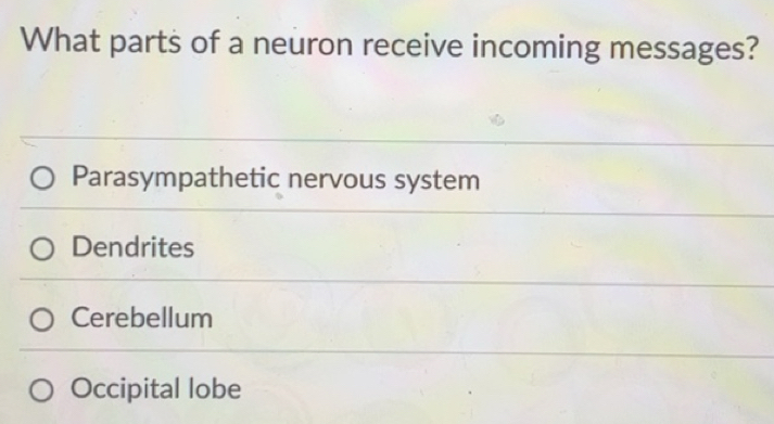 Solved: What parts of a neuron receive incoming messages ...
