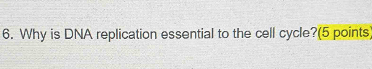 Why is DNA replication essential to the cell cycle?(5 points