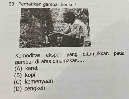 Perhatikan gambar berikut!
Komoditas ekspor yang ditunjukkan pada
gambar di atas dinamakan....
(A) karet
(B) kopi
(C) kemenyaan
(D) cengkeh