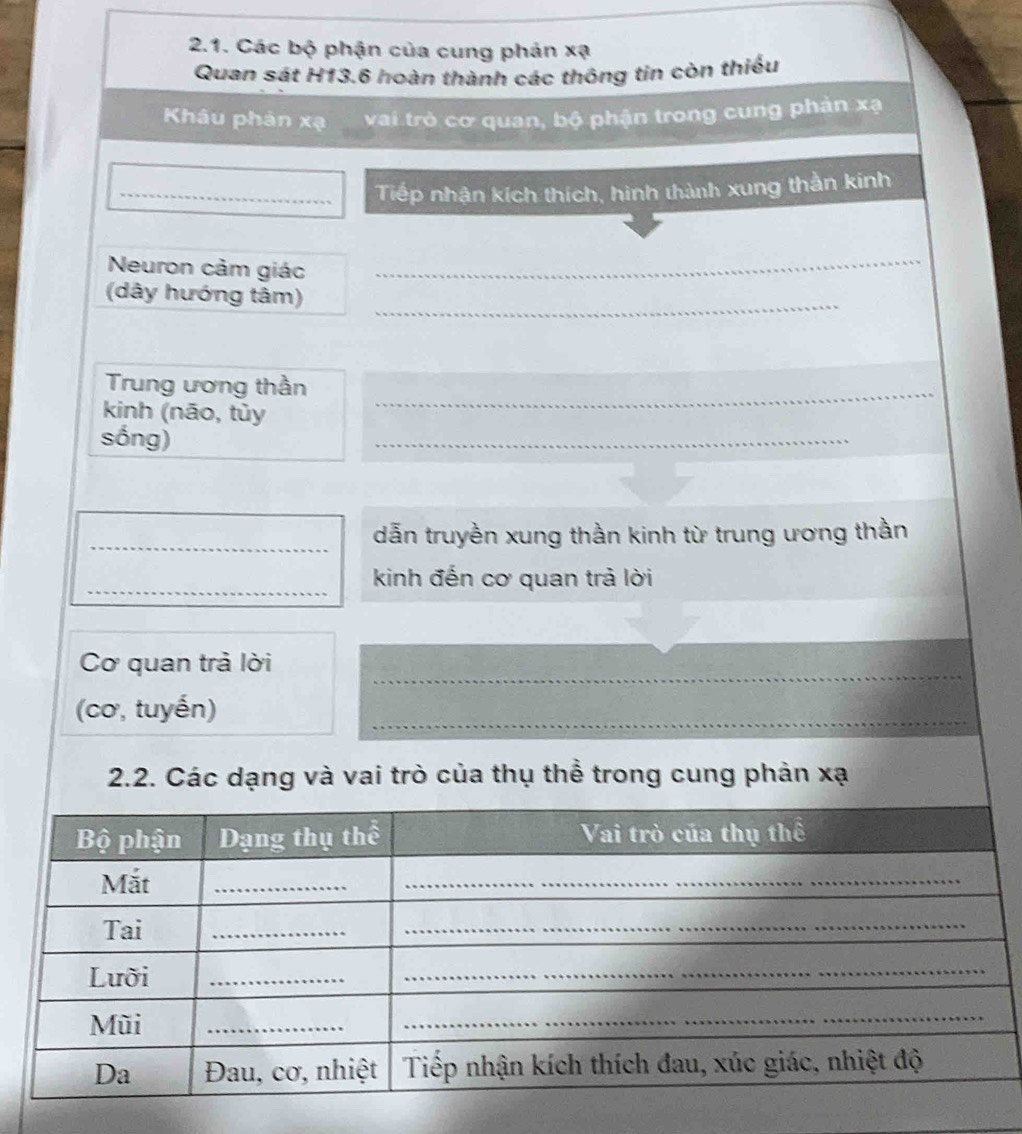 Các bộ phận của cung phản xạ
Quan sát H13.6 hoàn thành các thông tin còn thiếu 
Khâu phản xạ vai trò cơ quan, bộ phận trong cung phản xạ
_Tiếp nhận kích thích, hình thành xung thằn kinh 
Neuron cảm giác 
_ 
_ 
(dây hướng tâm) 
Trung ương thần 
kinh (nāo, tùy 
_ 
sống) 
_ 
_dẫn truyền xung thần kinh từ trung ương thần 
_ 
kinh đến cơ quan trả lời 
_ 
Cơ quan trả lời 
(cơ, tuyến) 
_ 
2.2. Các dạng và vai trò của thụ thể trong cung phản xạ