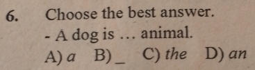 Choose the best answer.
- A dog is … animal.
A) a B)_ C) the D) an