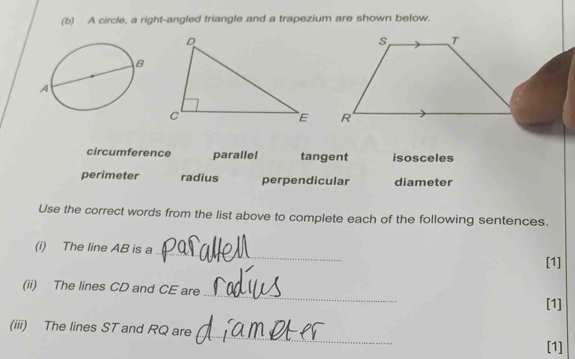 A circle, a right-angled triangle and a trapezium are shown below.

circumference parallel tangent isosceles
perimeter radius perpendicular diameter
Use the correct words from the list above to complete each of the following sentences.
(i) The line AB is a_ [1]
(ii) The lines CD and CE are_ [1]
(iii) The lines ST and RQ are _[1]