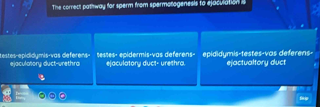 The correct pathway for sperm from spermatogenesis to ejaculation is
testes-epididymis-vas deferens- testes- epidermis-vas deferens- epididymis-testes-vas deferens-
ejaculatory duct-urethra ejaculatory duct- urethra. ejactualtory duct
Zencols
Elleby
Skip