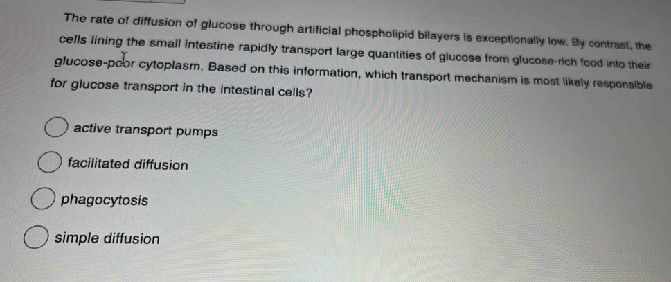 The rate of diffusion of glucose through artificial phospholipid bilayers is exceptionally low. By contrast, the
cells lining the small intestine rapidly transport large quantities of glucose from glucose-rich food into their
glucose-pcor cytoplasm. Based on this information, which transport mechanism is most likely responsible
for glucose transport in the intestinal cells?
active transport pumps
facilitated diffusion
phagocytosis
simple diffusion