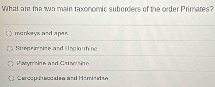 What are the two main taxonomic suborders of the order Primates?
monkeys and apes
Strepsirrhine and Haplorrhine
Platyrrhine and Catarrhine
Cercopithecoidea and Hominidae