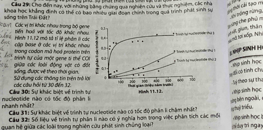 on  g   p ho .  s u   b  hậ t tên  của sinh va t   ta  r c 
Câu 29: Cho đến nay, với những bằng chứng qua nghiên cứu và thực nghiệm, các nhà thái trận
khoa học khẳng định có thể có bao nhiêu giai đoạn chính trong quá trình phát sinh sự
thng thời cải tạo m
sống trên Trái Đất?
Khi trống rừng,
Các vị trí khác nhau trong bộ gene 0.5
tiến hoá với tốc độ khác nhau.
* Trình tự nucleotide thứ 3
vịnh vật, giun, thân rìn rừng che phủ n
Hình 11.12 mô tả tỉ lệ phân li các 0.4
mẫu mã, tơi xốp. Nhị
cặp base ở các vị trí khác nhau
trong codon mā hoá protein trên 0,3
Trình tự nucieotide thứ 1
II. NHỊP SiNH Hệ
trình tự của một gene ti thể COI 0,2−
giữa các loài động vật có đốt Trinh tự nucleotide thứ 2
Nhip sinh học
sống, được vẽ theo thời gian. 0,1
đay đổi có tính chu
Sử dụng các thông tin trên trả lời 0
các câu hỏi từ 30 đến 32. 100 200 300 400 500 600 700
Thời gian (triệu năm trước)
Tuy theo sự tha
Câu 30: Sự khác biệt về trình tự Hình 11.12.
+Nhịp sinh học
nucleotide nào có tốc độ phân li
rường bên ngoài, 6
nhanh nhất?
Câu 31: Sự khác biệt về trình tự nucleotide nào có tốc độ phân li chậm nhất?
hịp thuỷ triều.
Câu 32: Số liệu về trình tự phân li nào có ý nghĩa hơn trong việc phân tích các mối
+ Nhịp sinh học t
quan hệ giữa các loài trong nghiên cứu phát sinh chủng loại?
thể duy trì ngay