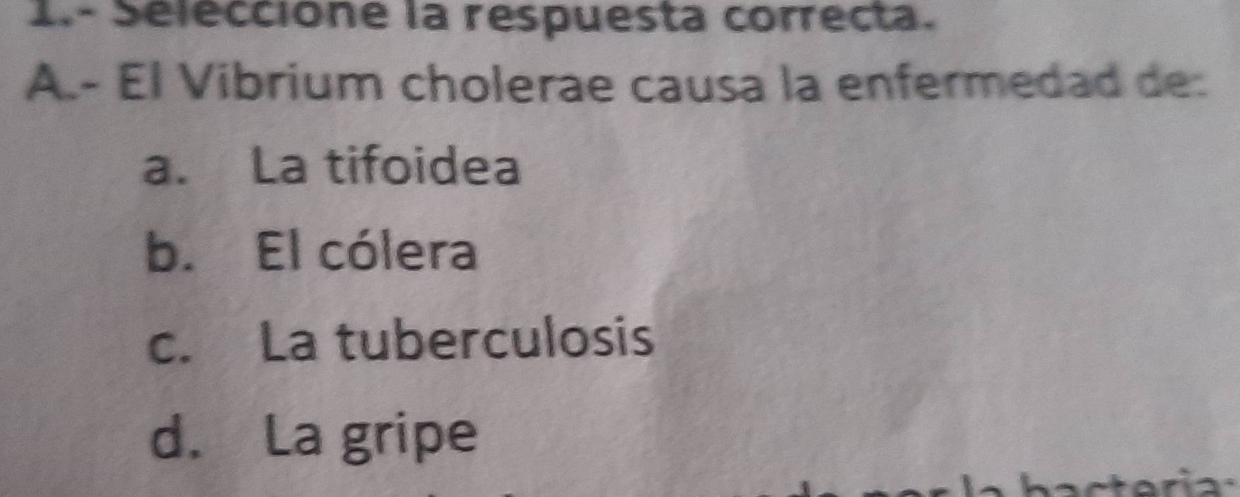 1.- Seleccione la respuesta correcta.
A.- El Vibrium cholerae causa la enfermedad de:
a. La tifoidea
b. El cólera
c. La tuberculosis
d. La gripe