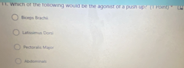 Which of the following would be the agonist of a push up? (I Point) "
Biceps Brachii
Latissimus Dorsi
Pectoralis Major
Abdominals
