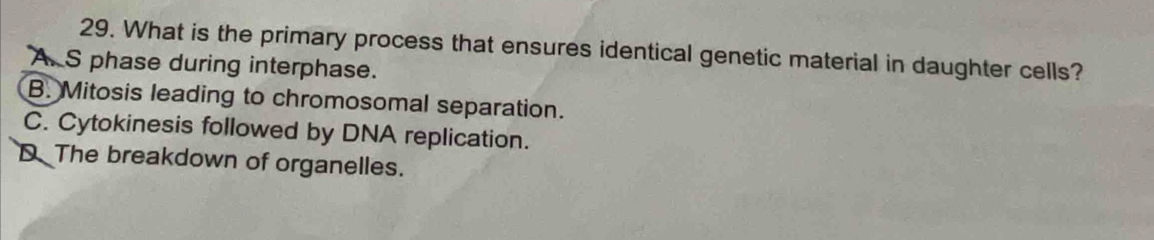 What is the primary process that ensures identical genetic material in daughter cells?
A. S phase during interphase.
B. Mitosis leading to chromosomal separation.
C. Cytokinesis followed by DNA replication.
D The breakdown of organelles.