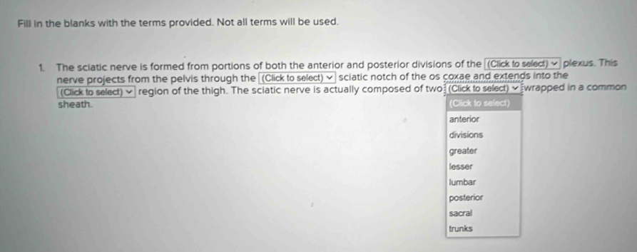 Fill in the blanks with the terms provided. Not all terms will be used.
1. The sciatic nerve is formed from portions of both the anterior and posterior divisions of the (Click to select) plexus. This
nerve projects from the pelvis through the (Click to select) × sciatic notch of the os coxae and extends into the
(Click to select) × region of the thigh. The sciatic nerve is actually composed of two] (Click to select) × [wrapped in a common
sheath. (Click to select)
anterior
divisions
greater
lesser
lumbar
posterior
sacral
trunks