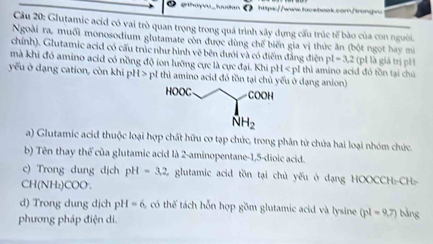 gthayvu _ luudan https://www.facebook.com/trongvu
Câu 20: Glutamic acid có vai trò quan trọng trong quá trình xây dựng cấu trúc tế bào của con người.
Ngoài ra, muối monosodium glutamate còn được dùng chế biến gia vị thức ăn (bột ngọt hay mì
chính). Glutamic acid có cấu trúc như hình vẽ bên dưới và có điểm đẳng điện pl-3,2 p|1) giá trị pH
mà khi đó amino acid có nồng độ ion lưỡng cực là cực đại. Khi pH pI thì amino acid đó tồn tại chủ
yếu ở dạng cation, còn khi pH > p1 thì amino acid đó tồn tại chủ yếu ở dạng anion)
a) Glutamic acid thuộc loại hợp chất hữu cơ tạp chức, trong phân tử chứa hai loại nhóm chức.
b) Tên thay thế của glutamic acid là 2-aminopentane-1,5-dioic acid.
c) Trong dung dịch pH=3,2, glutamic acid tồn tại chủ yếu ở dạng HOOCCH-CH>
CH(NH_2)COO.
d) Trong dung dịch pH=6 có thể tách hỗn hợp gồm glutamic acid và lysine (pl-9,7) bằng
phương pháp điện di.