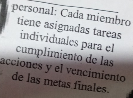 personal: Cada miembro 
tiene asignadas tareas 
individuales para el 
cumplimiento de las 
acciones y el vencimiento 
de las metas finales.