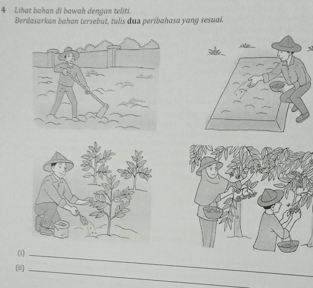 Lihat bahan di bawah dengan teliti. 
Berdasarkan bahan tersebut, tulis dua peribahasa yang sesuai. 
(i)_ 
(ii)_