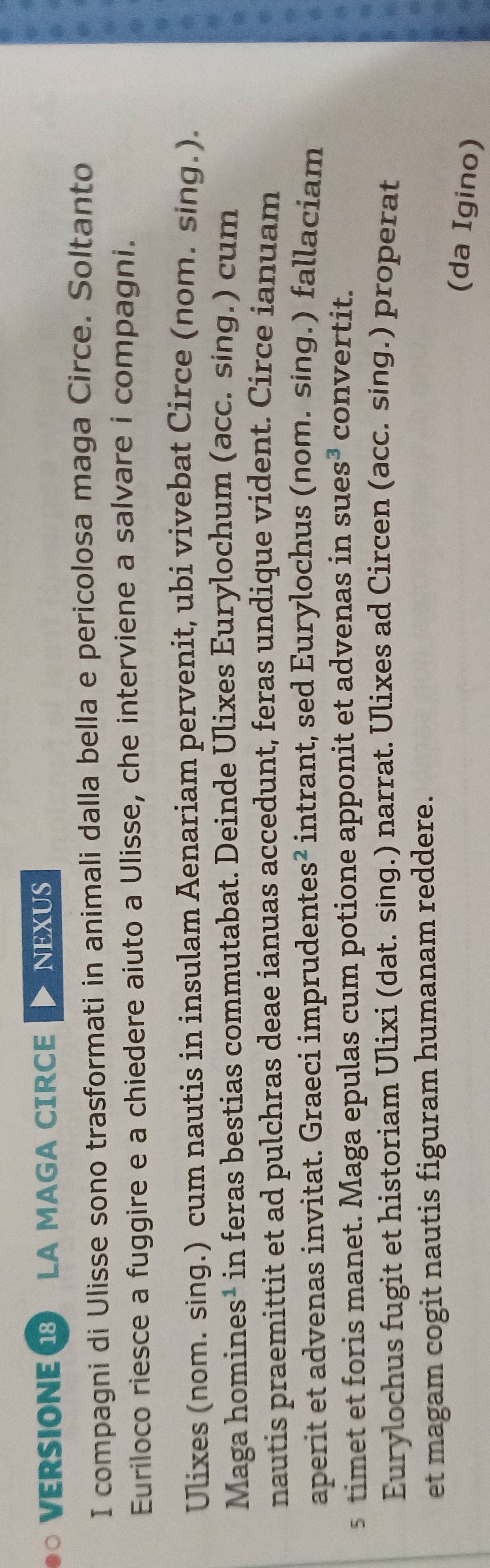 VERSIONE LA MAGA CIRCE NEXUS 
I compagni di Ulisse sono trasformati in animali dalla bella e pericolosa maga Circe. Soltanto 
Euriloco riesce a fuggire e a chiedere aiuto a Ulisse, che interviene a salvare i compagni. 
Ulixes (nom. sing.) cum nautis in insulam Aenariam pervenit, ubi vivebat Circe (nom. sing.). 
Maga homines¹ in feras bestias commutabat. Deinde Ulixes Eurylochum (acc. sing.) cum 
nautis praemittit et ad pulchras deae ianuas accedunt, feras undique vident. Circe ianuam 
aperit et advenas invitat. Graeci imprudente s^2 intrant, sed Eurylochus (nom. sing.) fallaciam 
s timet et foris manet. Maga epulas cum potione apponit et advenas in sue s^3 convertit. 
Eurylochus fugit et historiam Ulixi (dat. sing.) narrat. Ulixes ad Circen (acc. sing.) properat 
et magam cogit nautis figuram humanam reddere. 
(da Igino)
