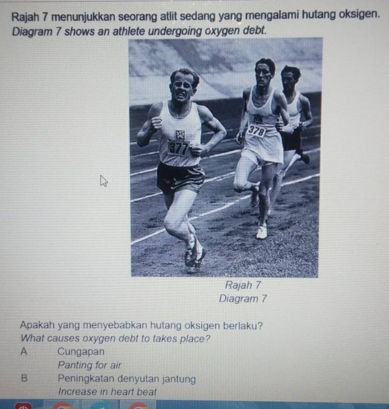 Rajah 7 menunjukkan seorang atlit sedang yang mengalami hutang oksigen.
Diagram 7 shows an athlete undergoing oxygen debt.
Diagram 7
Apakah yang menyebabkan hutang oksigen berlaku?
What causes oxygen debt to takes place?
A Cungapan
Panting for air
B Peningkatan denyutan jantung
Increase in heart beat