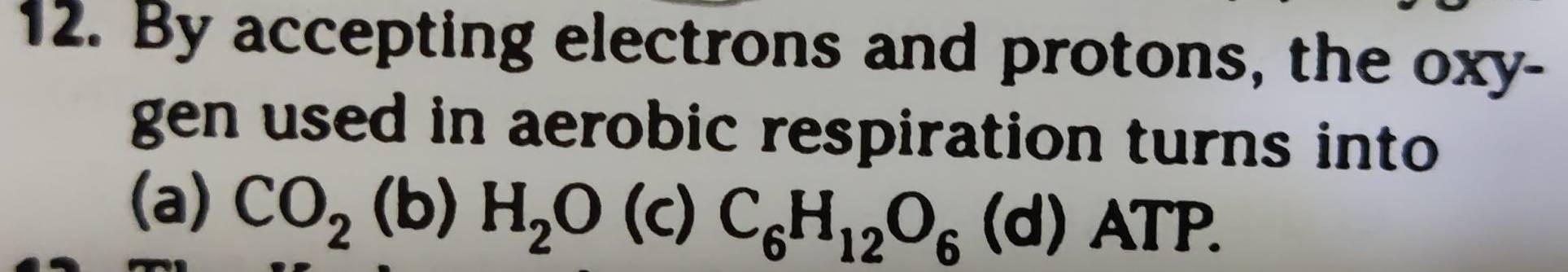 By accepting electrons and protons, the oxy- 
gen used in aerobic respiration turns into 
(a) CO_2(b)H_2O (c) C_6H_12O_6 ( ) ATP.