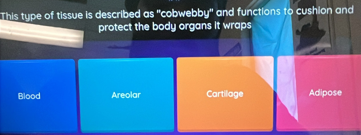 This type of tissue is described as "cobwebby" and functions to cushion and
protect the body organs it wraps
Blood Areolar Cartilage Adipose