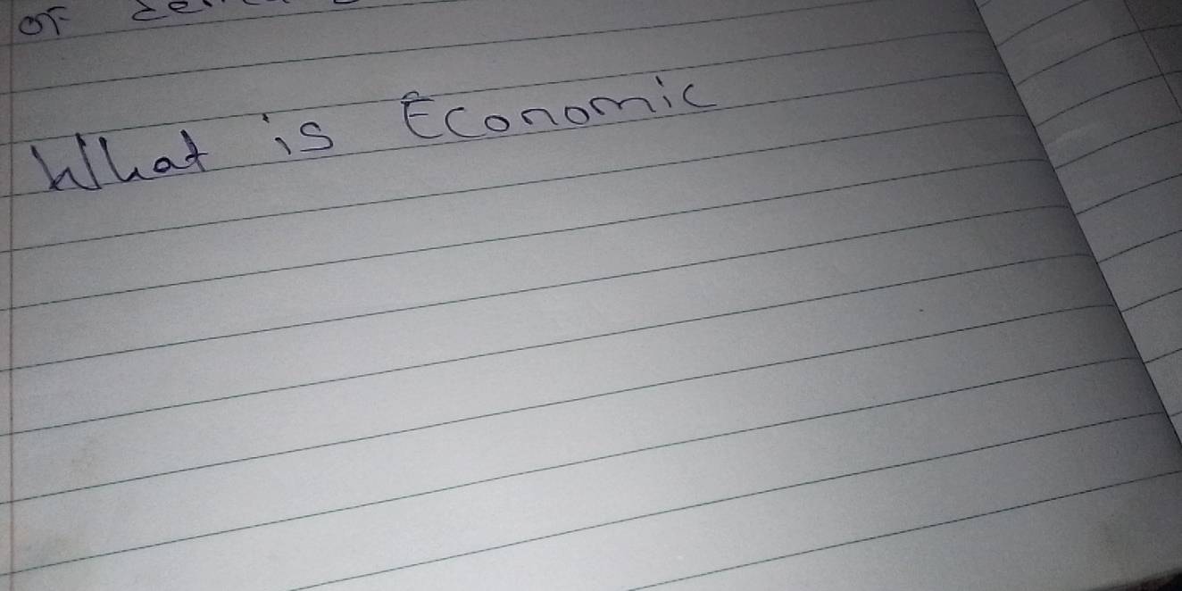 What is Economic