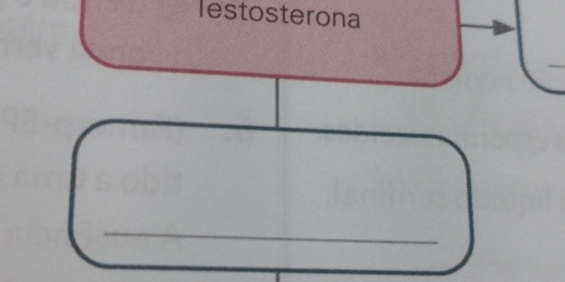 lestosterona 
_ 
_