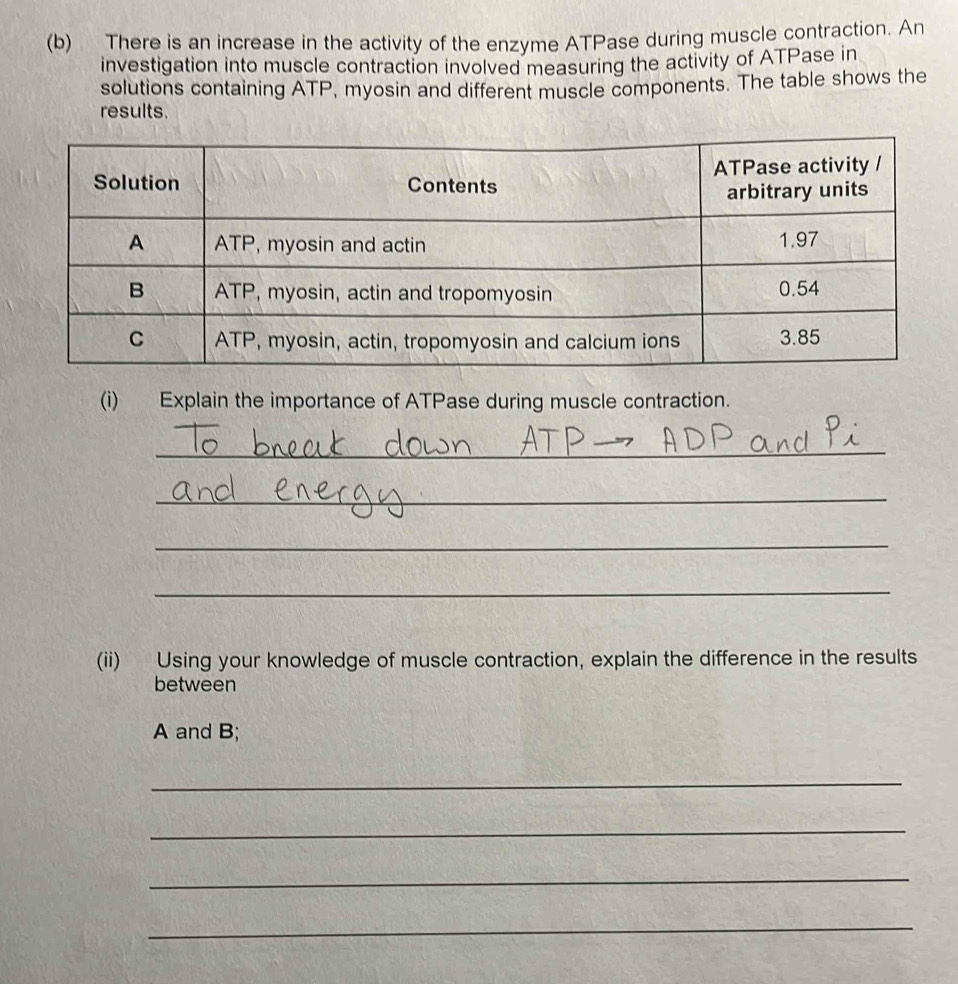There is an increase in the activity of the enzyme ATPase during muscle contraction. An 
investigation into muscle contraction involved measuring the activity of ATPase in 
solutions containing ATP, myosin and different muscle components. The table shows the 
results. 
(i) Explain the importance of ATPase during muscle contraction. 
_ 
_ 
_ 
_ 
(ii) Using your knowledge of muscle contraction, explain the difference in the results 
between
A and B; 
_ 
_ 
_ 
_