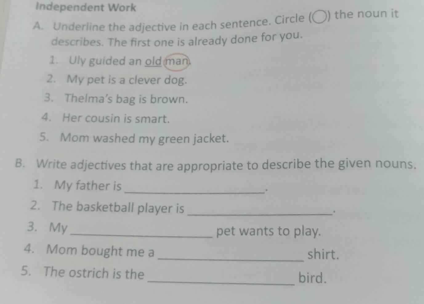 Independent Work 
A. Underline the adjective in each sentence. Circle (〇) the noun it 
describes. The first one is already done for you. 
1. Uly guided an old man. 
2. My pet is a clever dog. 
3. Thelma’s bag is brown. 
4. Her cousin is smart. 
5. Mom washed my green jacket. 
B. Write adjectives that are appropriate to describe the given nouns. 
1. My father is_ 
. 
2. The basketball player is_ 
. 
3. My_ 
pet wants to play. 
4. Mom bought me a _shirt. 
5. The ostrich is the 
_bird.