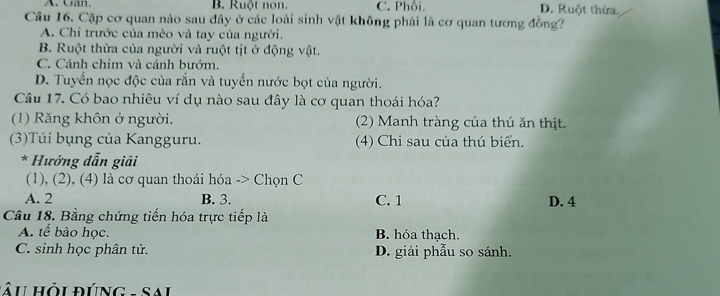 A. Can. B. Ruột non. C. Phối.
D. Ruột thừa.
Câu 16. Cặp cơ quan nào sau đây ở các loài sinh vật không phải là cơ quan tương đồng?
A. Chỉ trước của mèo và tay của người.
B. Ruột thừa của người và ruột tịt ở động vật.
C. Cánh chim và cánh bướm.
D. Tuyến nọc độc của rắn và tuyến nước bọt của người.
Câu 17. Có bao nhiêu ví dụ nào sau đây là cơ quan thoái hóa?
(1) Răng khôn ở người. (2) Manh tràng của thú ăn thịt.
(3)Túi bụng của Kangguru. (4) Chi sau của thú biển.
* Hướng dẫn giải
(1), (2), (4) là cơ quan thoái hóa -> Chọn C
A. 2 B. 3. C. 1 D. 4
Câu 18. Bằng chứng tiến hóa trực tiếp là
A. tế bào học. B. hóa thạch.
C. sinh học phân tử. D. giải phẫu so sánh.
* u hỏi đúng - S a i