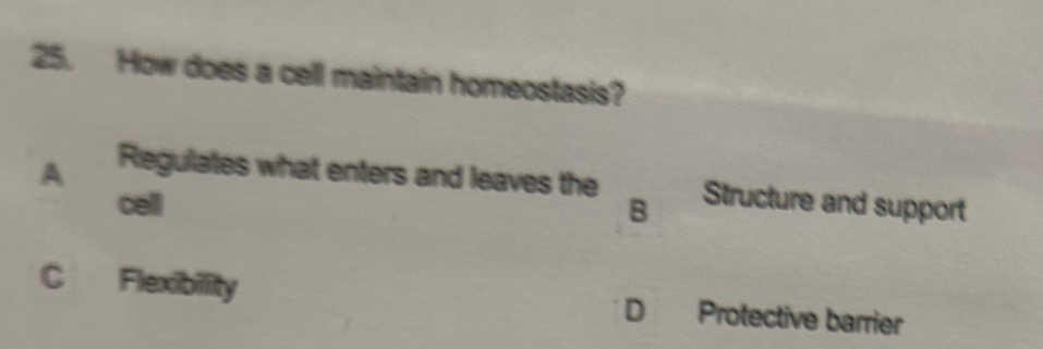 How does a cell maintain homeostasis?
A Regulates what enters and leaves the Structure and support
cell B
C Flexibillity D Protective barrier