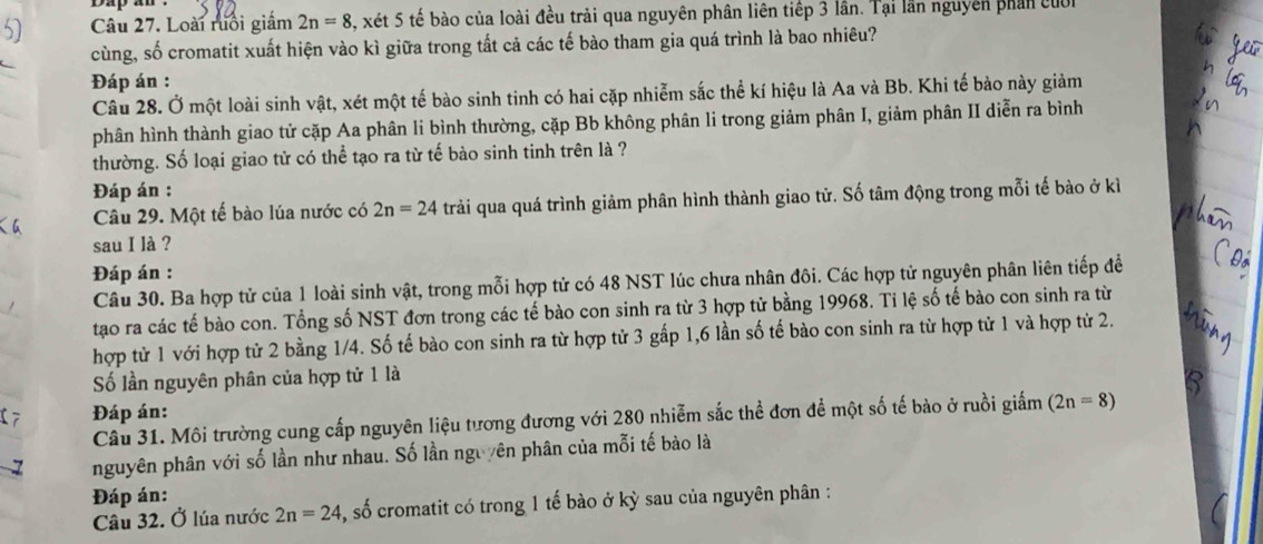 bap an .
Câu 27. Loài ruồi giám 2n=8 5, xét 5 tế bào của loài đều trải qua nguyên phân liên tiếp 3 lần. Tại lần nguyên phần củốn
cùng, số cromatit xuất hiện vào kì giữa trong tất cả các tế bào tham gia quá trình là bao nhiêu?
Đáp án :
Câu 28. Ở một loài sinh vật, xét một tế bào sinh tinh có hai cặp nhiễm sắc thể kí hiệu là Aa và Bb. Khi tế bào này giảm
phân hình thành giao tử cặp Aa phân li bình thường, cặp Bb không phân li trong giảm phân I, giảm phân II diễn ra bình
thường. Số loại giao tử có thể tạo ra từ tế bào sinh tinh trên là ?
Đáp án :
Câu 29. Một tế bào lúa nước có 2n=24 trải qua quá trình giảm phân hình thành giao tử. Số tâm động trong mỗi tế bào ở kì
sau I là ?
Đáp án :
Câu 30. Ba hợp tử của 1 loài sinh vật, trong mỗi hợp tử có 48 NST lúc chưa nhân đôi. Các hợp tử nguyên phân liên tiếp đề
tạo ra các tế bào con. Tổng số NST đơn trong các tế bào con sinh ra từ 3 hợp tử bằng 19968. Tỉ lệ số tế bào con sinh ra từ
hợp tử 1 với hợp tử 2 bằng 1/4. Số tế bào con sinh ra từ hợp tử 3 gấp 1,6 lần số tế bào con sinh ra từ hợp tử 1 và hợp tử 2.
Số lần nguyên phân của hợp tử 1 là
7 Đáp án:
Câu 31. Môi trường cung cấp nguyên liệu tương đương với 280 nhiễm sắc thể đơn để một số tế bào ở ruồi giấm (2n=8)
z nguyên phân với số lần như nhau. Số lần nguyên phân của mỗi tế bào là
Đáp án:
Câu 32. Ở lúa nước 2n=24 , số cromatit có trong 1 tế bào ở kỳ sau của nguyên phân :