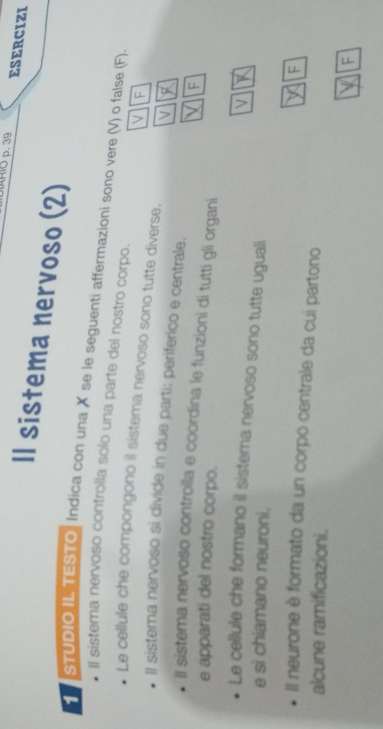 ARIÖ p. 39 
ESERCIZI 
ll sistema nervoso (2) 
STUDIO IL TESTO Indica con una X se le seguenti affermazioni sono vere (V) o false (F). 
Il sistema nervoso controlla solo una parte del nostro corpo. 
Le cellule che compongono il sistema nervoso sono tutte diverse. 
V F 
V 
Il sistema nervoso si divide in due parti: periférico e centrale. 
F 
Il sistema nervoso controlla e coordina le funzioni di tutti gli organi 
e apparati del nostro corpo. 
Le cellule che formano il sistema nervoso sono tutte uguali 
e si chiamano neuroni. 

Il neurone è formato da un corpo centrale da cui partono 
alcune ramificazioni. 
F