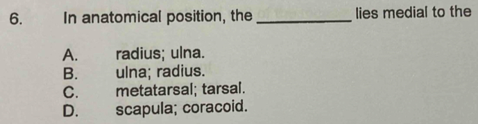 In anatomical position, the _lies medial to the
A. radius; ulna.
B. ulna; radius.
C. metatarsal; tarsal.
D. scapula; coracoid.