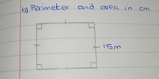 perimeter and aroa in cm