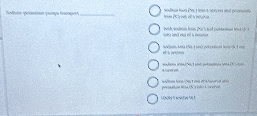sodium ions (Na ) into a neuron and potassim
Sodim-potassium pemps transport _lous (K ') out of a neuron
both sodium lons (Na ·) and potassium ions (K²)
into and out of a neuron
sodium ions (Na') and potassiun lors (K') out
of a neuron
sodium ions (Na ) and potassian iuns (K ) inta
a heuron
sodum ions (Na ) out of a neuron and
petassiun ions (X) into à neuren
I DONT KNOW YET