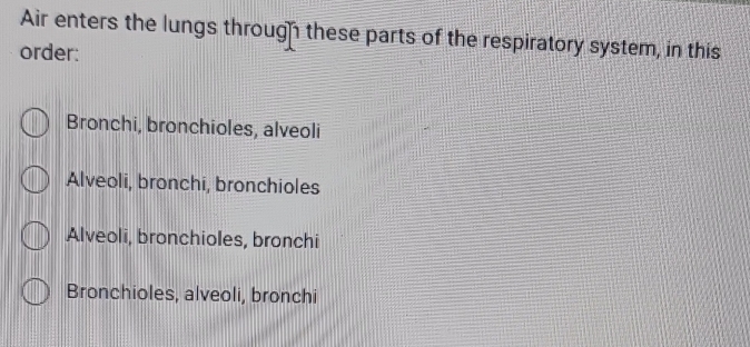 Air enters the lungs through these parts of the respiratory system, in this
order:
Bronchi, bronchioles, alveoli
Alveoli, bronchi, bronchioles
Alveoli, bronchioles, bronchi
Bronchioles, alveoli, bronchi