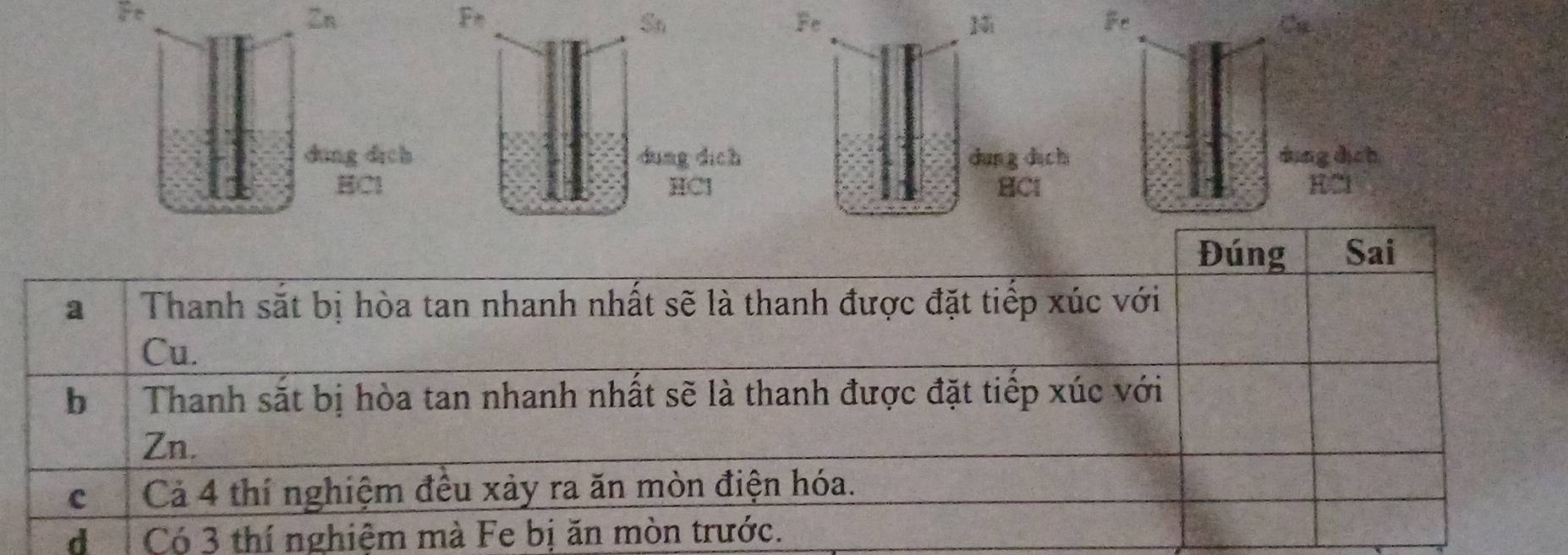 Ft 
Zn 
Fm 
Sn 
Fe 
1i 
Cu 
dung dich dung dìch dung d ch áng dịch 
HCl HCl BCl HCl
d Có