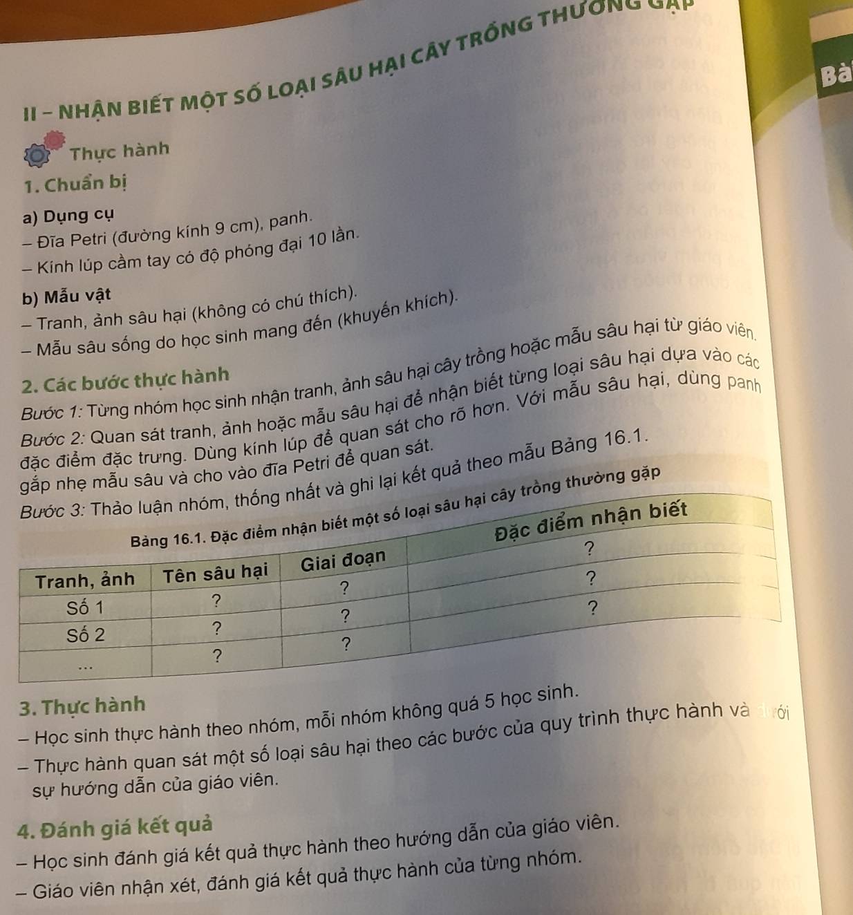 HI - Nhận biết một số loại sâu hại cây trống thương đại 
Bà 
Thực hành 
1. Chuẩn bị 
a) Dụng cụ 
- Đĩa Petri (đường kính 9 cm), panh. 
- Kinh lúp cầm tay có độ phóng đại 10 lần. 
b) Mẫu vật 
- Tranh, ảnh sâu hại (không có chú thích). 
- Mẫu sâu sống do học sinh mang đến (khuyến khích). 
Bước 1: Từng nhóm học sinh nhận tranh, ảnh sâu hại cây trồng hoặc mẫu sâu hại từ giáo viên 
2. Các bước thực hành 
Bước 2: Quan sát tranh, ảnh hoặc mẫu sâu hại để nhận biết từng loại sâu hại dựa vào các 
đặc điểm đặc trưng. Dùng kính lúp để quan sát cho rõ hơn. Với mẫu sâu hại, dùng panh 
p nhẹ mẫu sâu và cho vào đĩa Petri để quan sát. 
hi lại kết quả theo mẫu Bảng 16.1. 
thường gặp 
3. Thực hành 
- Học sinh thực hành theo nhóm, mỗi nhóm không quá 5 học sinh 
- Thực hành quan sát một số loại sâu hại theo các bước của quy trình thực hành và dưới 
sự hướng dẫn của giáo viên. 
4. Đánh giá kết quả 
- Học sinh đánh giá kết quả thực hành theo hướng dẫn của giáo viên. 
- Giáo viên nhận xét, đánh giá kết quả thực hành của từng nhóm.