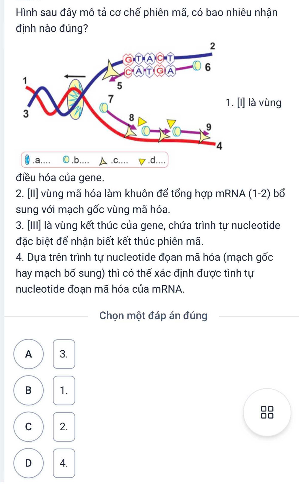 Hình sau đây mô tả cơ chế phiên mã, có bao nhiêu nhận
định nào đúng?
l] là vùng.a...b..d....
điều hóa của gene.
2. [II] vùng mã hóa làm khuôn để tổng hợp mRNA (1-2) bổ
sung với mạch gốc vùng mã hóa.
3. [III] là vùng kết thúc của gene, chứa trình tự nucleotide
đặc biệt để nhận biết kết thúc phiên mã.
4. Dựa trên trình tự nucleotide đọan mã hóa (mạch gốc
hay mạch bổ sung) thì có thể xác định được tình tự
nucleotide đoạn mã hóa của mRNA.
Chọn một đáp án đúng
A 3.
B 1.
□□
□□
C 2.
D 4.