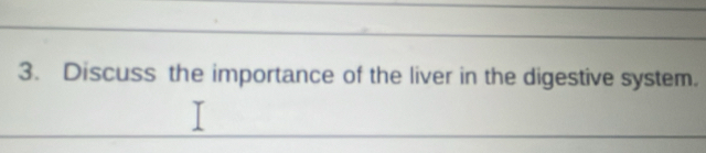 Discuss the importance of the liver in the digestive system.