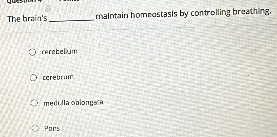 The brain's _maintain homeostasis by controlling breathing.
cerebellum
cerebrum
medulla oblongata
Pons