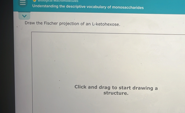 Biological Macromolecules 
Understanding the descriptive vocabulary of monosaccharides 
Draw the Fischer projection of an L-ketohexose. 
Click and drag to start drawing a 
structure.