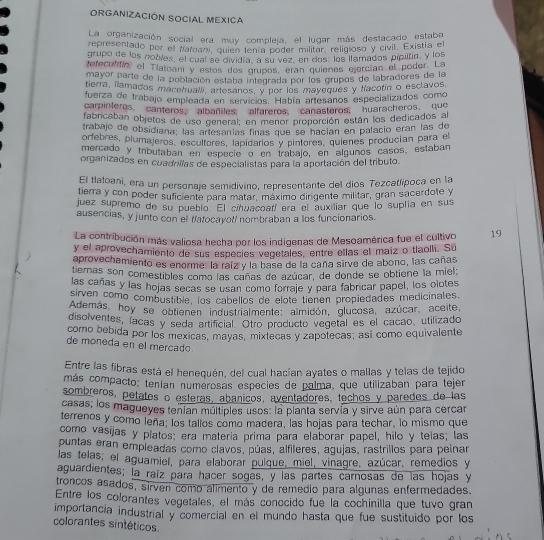 ORGANIZACIÓN SOCIAL MEXICa
La organización social era muy compleja, el lugar más destacado estaba
representado per el Maroan, quien tenía poder militar, religioso y civil. Existía el
grupo de los nobles, el cual se dividía, a su vez, en dos: los llamados pipiltín, y los
tefecultín, el Tlatoani y estos dos grupos, eran quienes ejorcían el poder. La
mayor parte de la población estaba integrada por los grupos de labradores de la
tierra, llamados macehualli, artesanos, y nor los mayeques y tíacotín o esclavos
fuerza de trabajo emplcada en servicios. Había artesanos especializados como
carpinteros canteros,  albañiles alfareros canasteros, huaracheros, que
fabricaban objetos de uso general; en menor proporción están los dedicados al
trabajo de obsidiana; las artesanías finas que se hacían en palacio eran las de
orfebres, plumajeros, escultores, lapidaros y pintores, quienes producían para el
mercado y tributaban en especie o en trabajo, en algunos casos, estaban
organizados en cuadnllas de especialistas para la aportación del tributo.
El tlatoani, era un personaje semidivino, representante del dios Tezcatlípoca en la
tierra y con poder suficiente para matar, máximo dirigente militar, gran sacerdote y
juez supremo de su pueblo. El cihuacoatí era el auxiliar que lo suplía en sus
ausencias, y junto con el fatocayoll nombraban a los funcionarios.
La contribución más valiosa hecha por los indigenas de Mesoamérica fue el cultivo 19
y el aprovechamiento de sus especies vegetales, entre ellas el maiz o tlaolli. Su
aprovechamiento es enorme: la raíz y la base de la caña sirve de abono, las cañas
tiemas son comestibles coma las cañas de azúcar, de donde se obtiene la miel:
las cañas y las hojas señas se usan como forraje y para fabricar papel, los olotes
sirven como combustible, los cabellos de elote tienen propiedades medicinales.
Además, hoy se obtionen industrialmente: almidón, glucosa, azúcar, aceite,
disolventes, lacas y seda artificial. Otro producto vegetal es el cacão, utilizado
como bebida por los mexicas, mayas, mixtecas y zapotecas; así como equivalente
de moneda en el mercad
Entre las fibras está el henequén, del cual hacían ayates o mallas y telas de tejido
más compacto: tenían numerosas especies de palma, que utilizaban para tejer
sombreros, petates o esteras, abanicos, aventadores, techos y paredes de las
casas; los magueyes tenían múltiples usos: la planta servía y sirve aún para cercar
terrenos y como leña; los tallos como madera, las hojas para techar, lo mismo que
como vasijas y platos: era matería prima para elaborar papel, hilo y telas; las
puntas eran empleadas como clavos, púas, alfileres, agujas, rastrillos para peinar
las telas; el aguamieí, para elaborar pulque, miel, vinagre, azúcar, remedios y
aguardientes; la raíz para hacer sogas, y las partes carnosas de las hojas y
troncos asados, sirven como alimento y de remedio para algunas enfermedades.
Entre los colorantes vegetales, el más conocido fue la cochinilla que tuvo gran
importancía industrial y comercial en el mundo hasta que fue sustituído por los
colorantes sintéticos