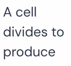 A cell 
divides to 
produce