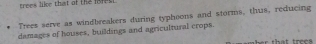 trees like that of the fofet 
Trees serve as windbreakers during typhoons and storms, thus, reducing 
damages of houses, buildings and agricultural crops. 
her that tre
