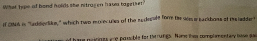 What type of bond holds the nitrogen bases together? 
If DNA is “ladderlike,” which two molecules of the nucleotide form the sides e backbone of the ladder? 
hase poirings are possible for the rungs. Name these complimentary base pas