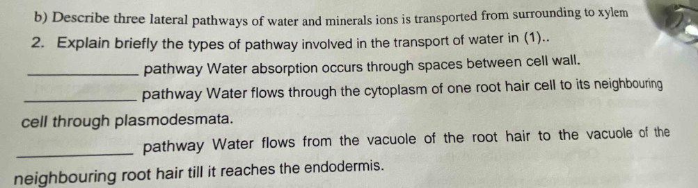 Describe three lateral pathways of water and minerals ions is transported from surrounding to xylem
2. Explain briefly the types of pathway involved in the transport of water in (1).. 
_pathway Water absorption occurs through spaces between cell wall. 
_pathway Water flows through the cytoplasm of one root hair cell to its neighbouring 
cell through plasmodesmata. 
_pathway Water flows from the vacuole of the root hair to the vacuole of the 
neighbouring root hair till it reaches the endodermis.