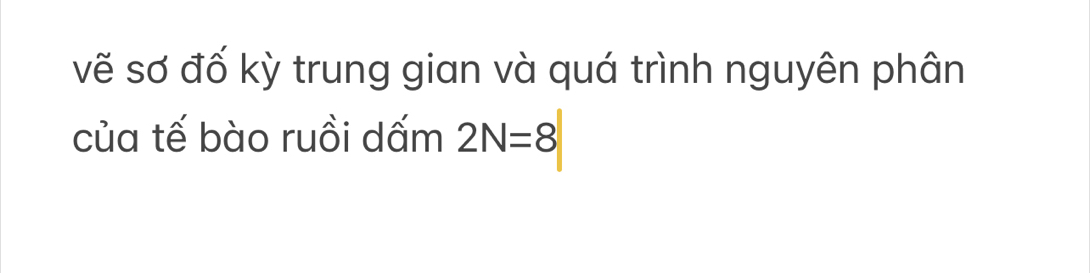 vẽ sơ đố kỳ trung gian và quá trình nguyên phân 
của tế bào ruồi dấm 2N=8