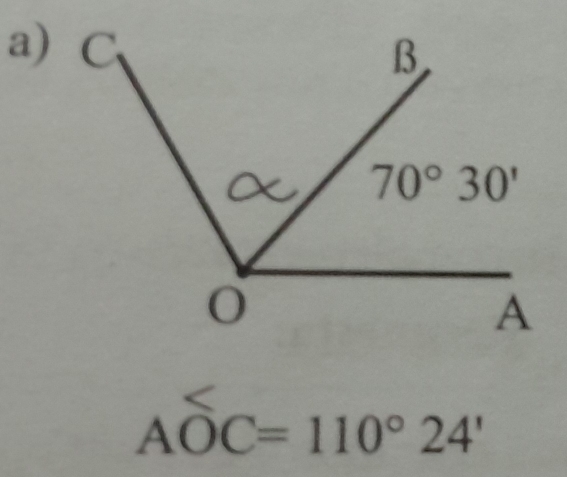 AOC=110°24'