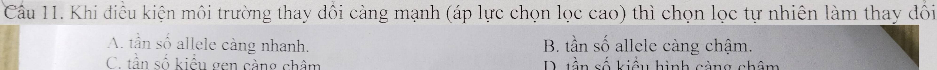 Khi điều kiện môi trường thay đổi càng mạnh (áp lực chọn lọc cao) thì chọn lọc tự nhiên làm thay đồi
A. tần số allele càng nhanh. B. tần số allele càng chậm.
C. tần số kiều gen cầng châm D. tần số kiểu hình càng châm
